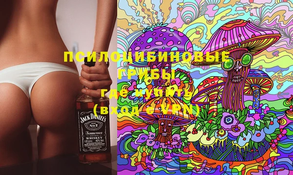 бошки Абдулино